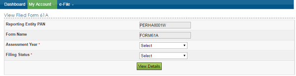 Assessment Year, Filing Status