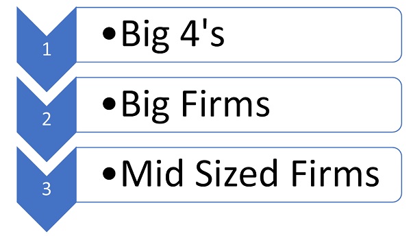 Big CA Firms