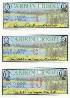 accounting for carbon credits
