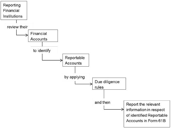 figure-process-of-reporting-under-fatca-and-crs