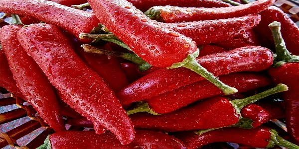 Govt. Imposes Minimum Import Price of Rs 500 per KG on pepper