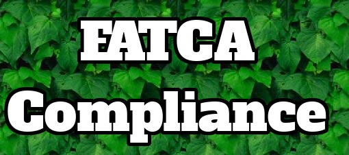 All About FATCA Compliance and Related Notices to Indian Tax Payers