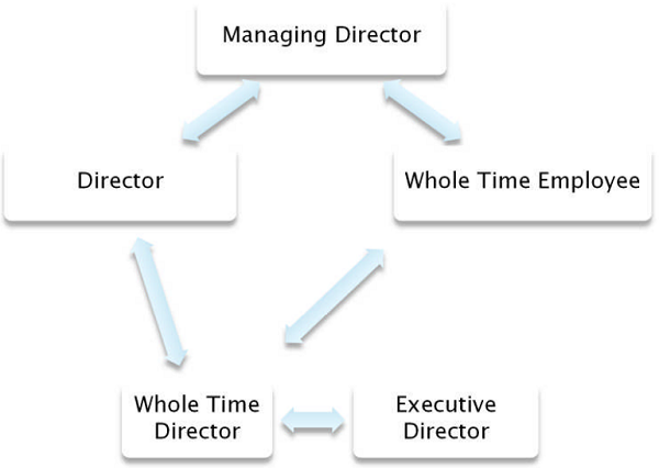 What Is The Difference Between Director And Managing Director