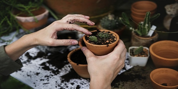 GST on landscaping & gardening Work Contract from government