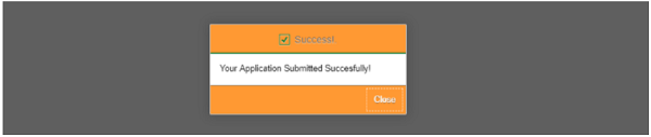 Your Application Submitted Successfully