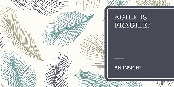 Agile is Fragile- An Insight