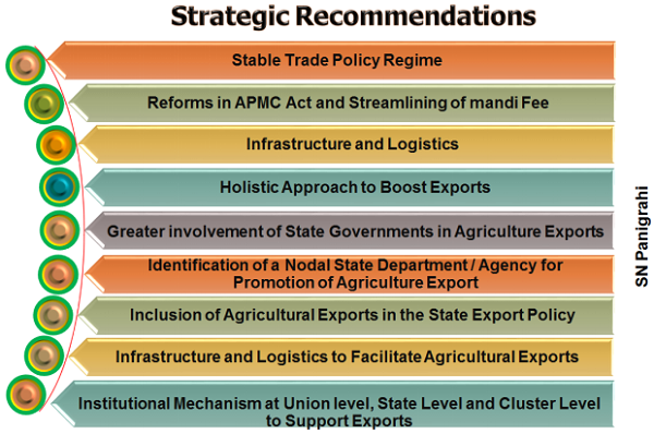 Strategic Recommendations 