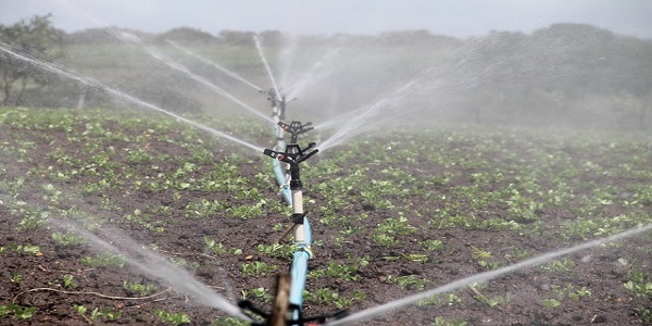 irrigation agriculture sprinkling peanut water