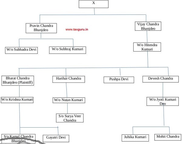 genealogical tree