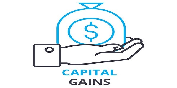 capital gains concept, outline icon, linear sign, thin line pictogram, logo, flat vector, illustration