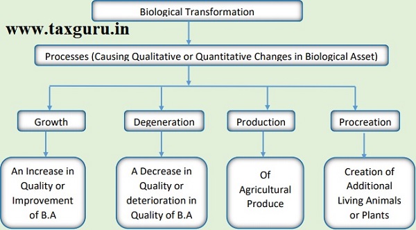 Biological Transformation