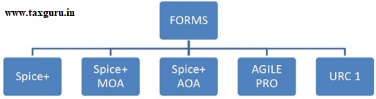 Fifth Step Prepare and File the following below mentioned Forms