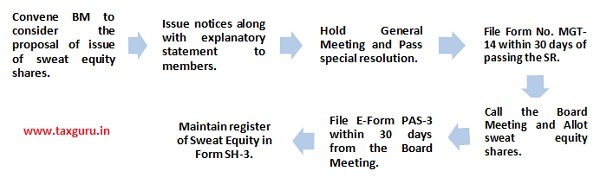 the procedure for issuance of sweat equity shares