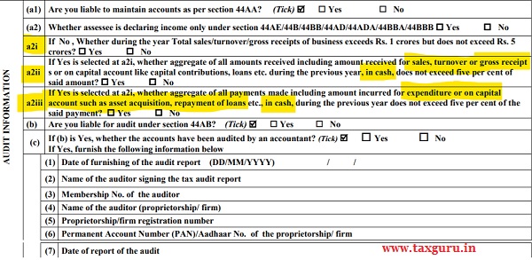 Audit Information