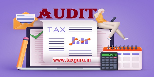 Audit - Online Tax payment