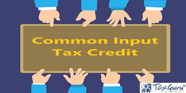 Common Input Tax Credit