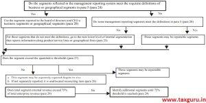 AS 17 Segment Reporting