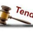lsgd tenders