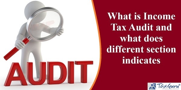 What is Income Tax Audit and what does different section indicates