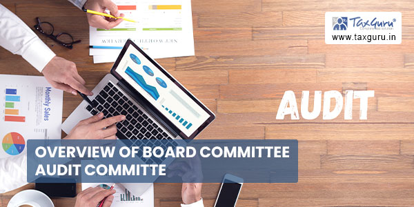 Overview of Board Committee Audit Committe