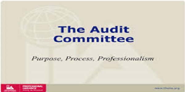 The Audit Committee