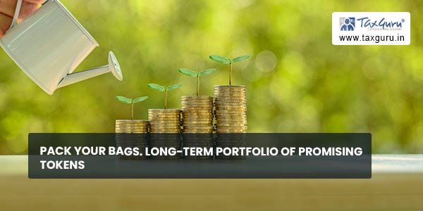 Pack your bags. Long-term portfolio of promising tokens