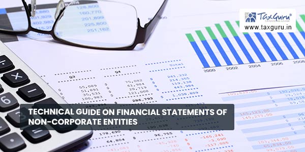 technical-guide-on-financial-statements-of-non-corporate-entities