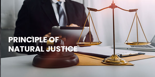 Doctrine of Single Notice, Single Hearing: Safeguarding Natural Justice in Tax Adjudication