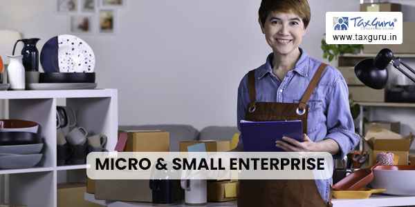Micro & Small Enterprise