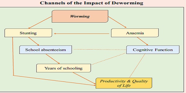 channels of the impact of deworming