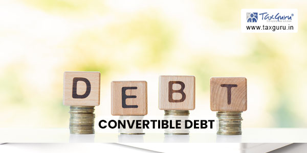 Convertible Debt