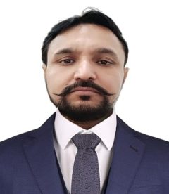sanat pyne