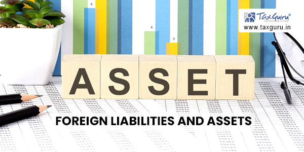 Foreign Liabilities and Assets