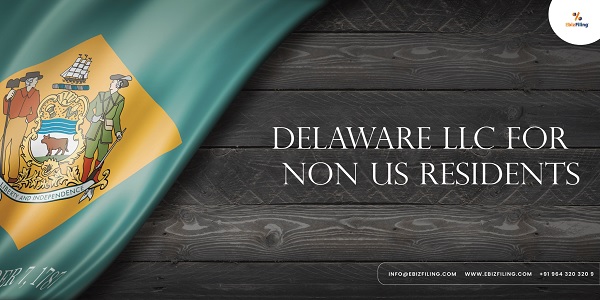 Delaware LLC for Non-US Resident