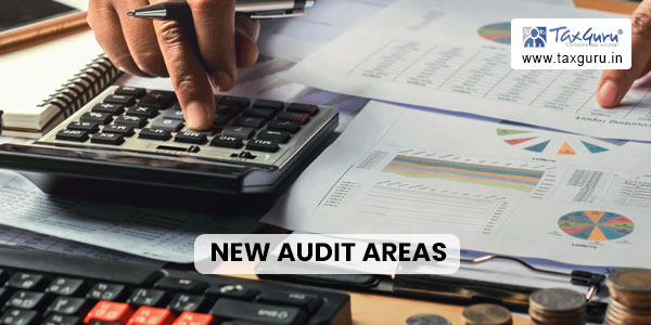 New Audit Areas