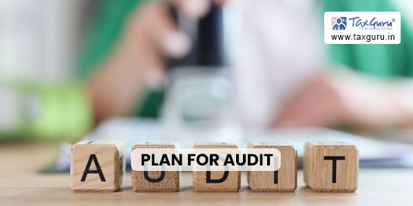 Plan for Audit