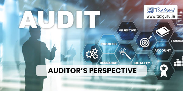 Auditor's Perspective