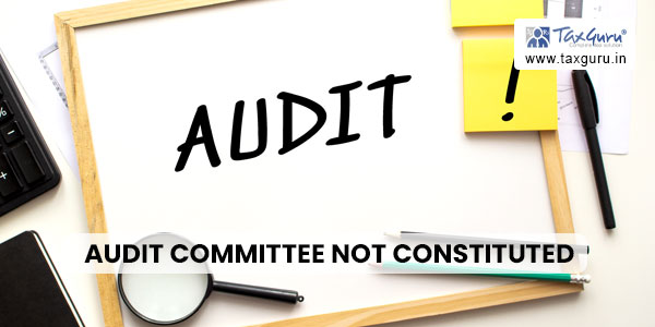 Audit committee not constituted