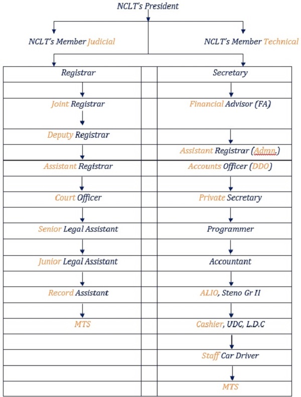 NCLT Organization chart