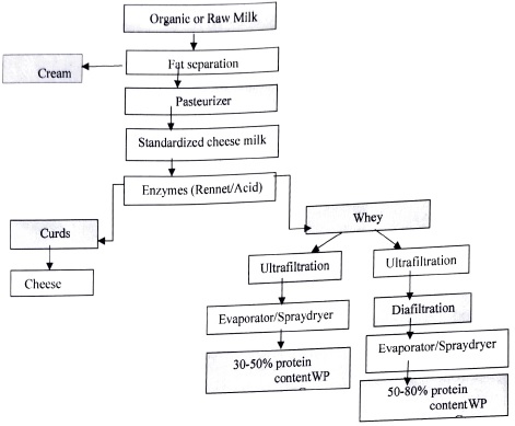 Diffferent level of proteins