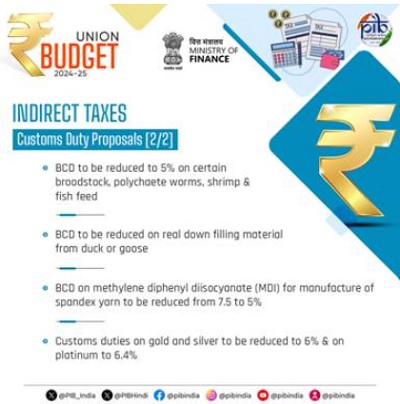 Indirect Taxs Customs Duty Proposals 2