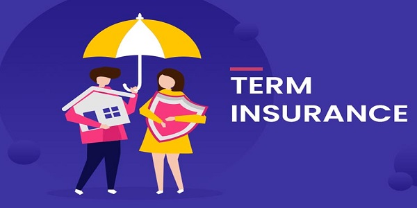 Endowment Plan vs. Term Insurance: Making the Right Choice