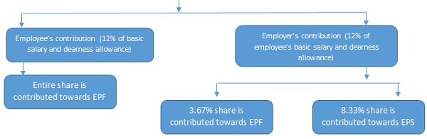 Manner of allocation of employer and employee’s contribution towards EPF and EPS