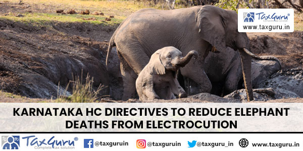 Karnataka HC Directives to Reduce Elephant Deaths from Electrocution