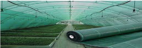 bird protection nets and fishing nets