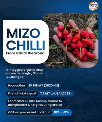 MIZO CHILLI From Hills to the World