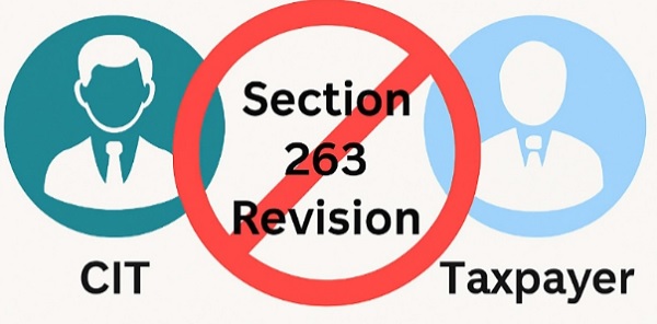 Section 263 Revision