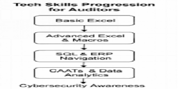 Tech Skills for Auditors