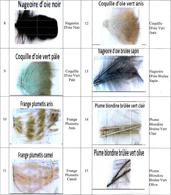 for use by the fashion industry 2