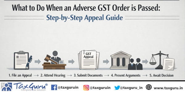 What to Do When an Adverse GST Order is Passed Step-by-Step Appeal Guide